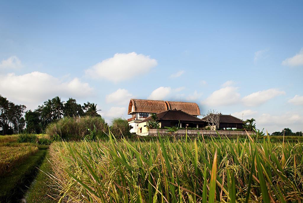 Kubu Kedungu Villas Tanah Lot Exteriér fotografie